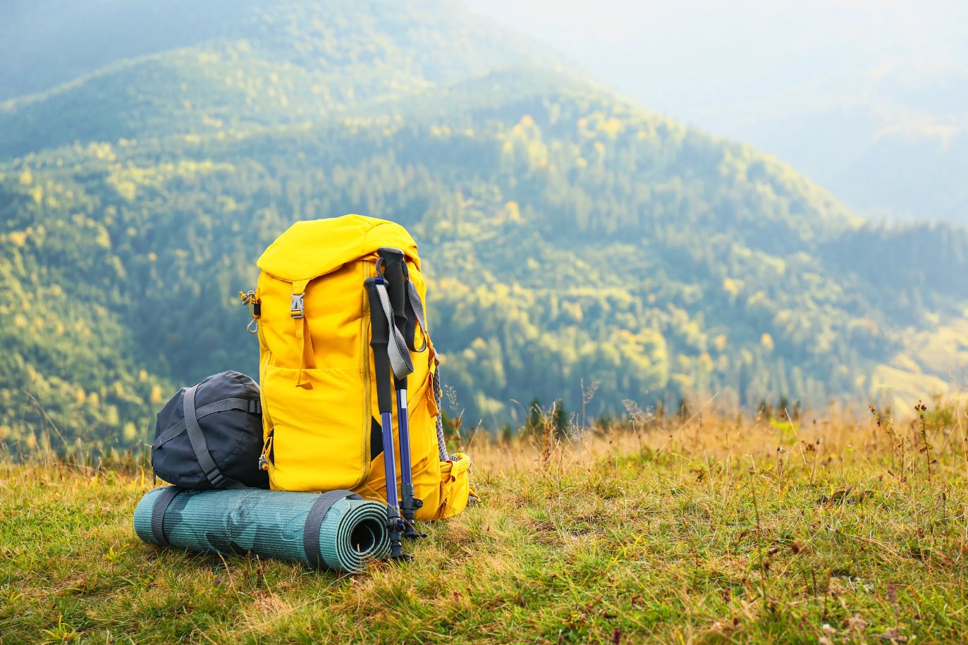 Günstiges Frilufts Geschäft -Deutschland Frilufts Verkäufe 2024 Dingtalk 20240318103919